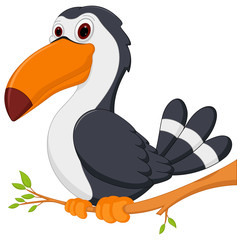 Cute Toucan bird cartoon sit on tree