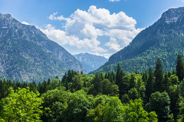 Fototapeta na wymiar Mountainous landscape in summer in Germany.