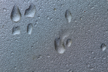 water drops background