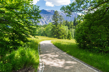 Road in landscape in summer in Germany.