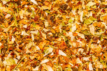 Spices at herb bazaar in Istanbul.