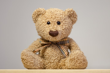 Teddy bear sitting