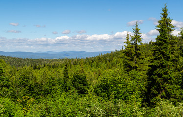 Mountains covered trees and blue sky.