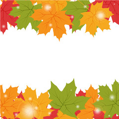 Autumn background with maple leaves