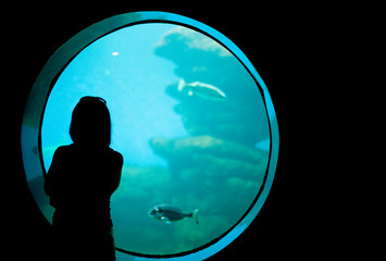 Silhouette of woman in the aquarium.