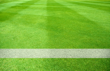 Obraz premium Soccer Field
