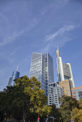 Frankfurt am Maine skyscrapers on a sunny day