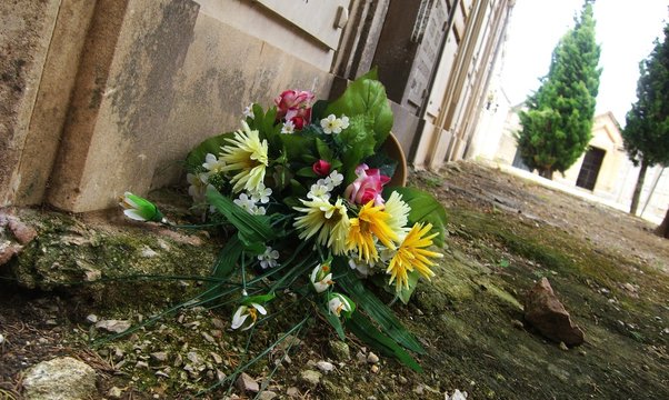 instant blumen auf friedhof I