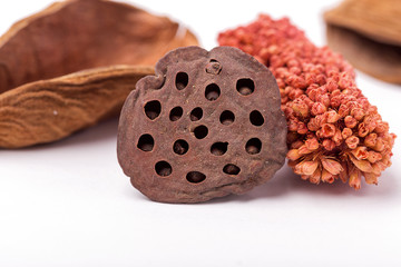 Potpourri - focus on loto pod