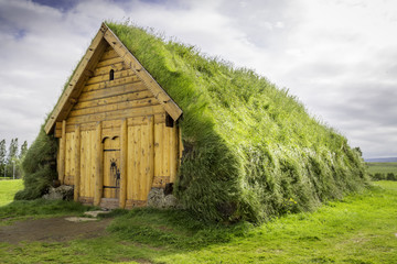 Fototapeta na wymiar Viking House