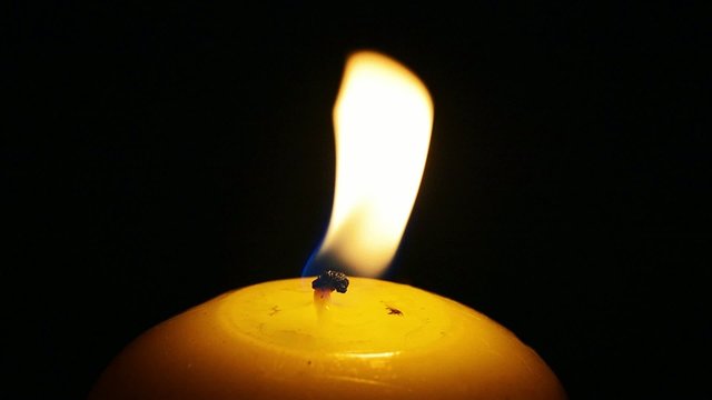 Śieca