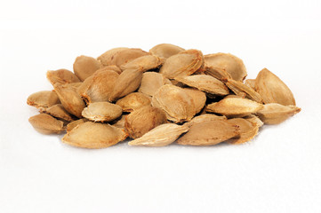 apricot pits