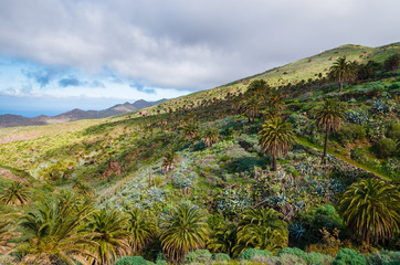 Fototapeta na wymiar Tropical mountain landscape of La Gomera island, Spain