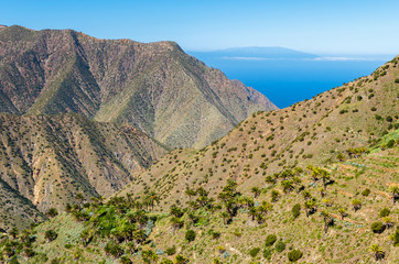 Palm trees in mountain valley, Agulo, La Gomera, Canary Islands