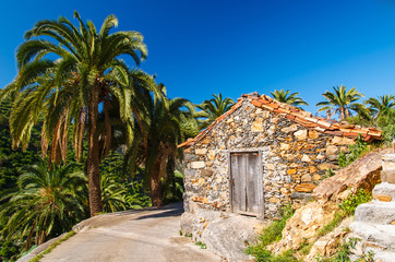 Fototapeta na wymiar Old house in tropical landscape of La Gomera island, Spain