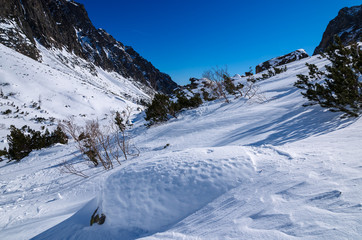 Winter trail in Starolesna valley, Tatra Mountains, Slovakia