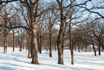 Empty park at winter time