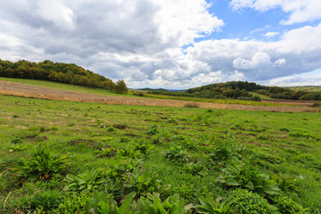 Fototapeta na wymiar Green field and clouds on sky in rural landscape, Poland