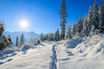 Winter landscape of Rusinowa polana, Tatra Mountains, Poland © pkazmierczak