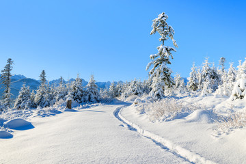 Winter landscape of Rusinowa polana, Tatra Mountains, Poland © pkazmierczak
