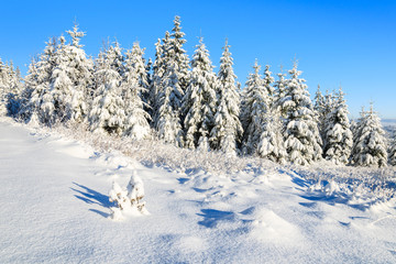Winter landscape of Rusinowa polana, Tatra Mountains, Poland © pkazmierczak