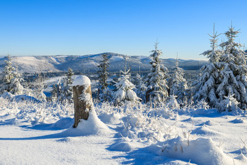 Winter landscape of Rusinowa polana, Tatra Mountains, Poland © pkazmierczak
