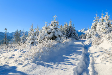 Winter landscape of Rusinowa polana, Tatra Mountains, Poland © pkazmierczak