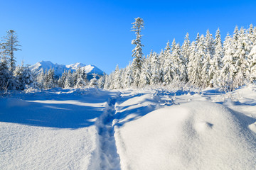 Winter landscape of Rusinowa polana, Tatra Mountains, Poland © pkazmierczak