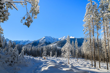 Winter landscape of Rusinowa polana, Tatra Mountains, Poland © pkazmierczak