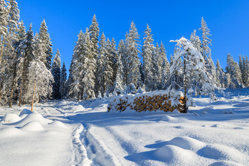 Winter landscape of Rusinowa polana, Tatra Mountains, Poland © pkazmierczak