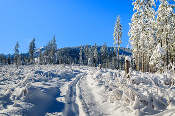 Winter landscape of Rusinowa polana, Tatra Mountains, Poland © pkazmierczak