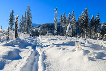 Winter landscape of Rusinowa polana, Tatra Mountains, Poland © pkazmierczak