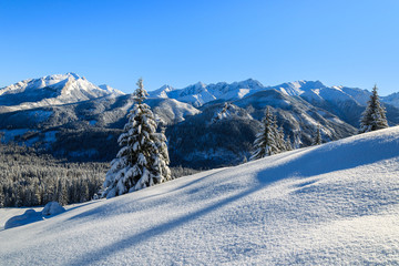 Fototapeta na wymiar Winter landscape of Rusinowa polana, Tatra Mountains, Poland