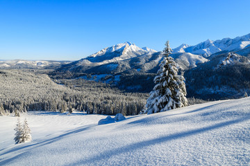 Winter landscape of Rusinowa polana, Tatra Mountains, Poland © pkazmierczak