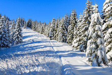 Winter landscape of Rusinowa polana, Tatra Mountains, Poland © pkazmierczak