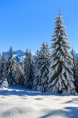 Winter landscape of Rusinowa polana, Tatra Mountains, Poland
