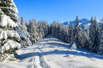 Winter landscape of Rusinowa polana, Tatra Mountains, Poland © pkazmierczak