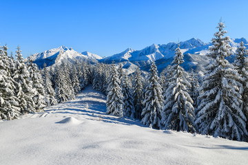 Winter landscape of Rusinowa polana, Tatra Mountains, Poland © pkazmierczak