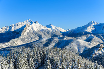 Winter landscape of Rusinowa polana, Tatra Mountains, Poland © pkazmierczak