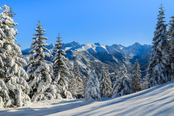 Winter landscape of Rusinowa polana, Tatra Mountains, Poland © pkazmierczak