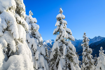 Winter landscape of Rusinowa polana, Tatra Mountains, Poland © pkazmierczak