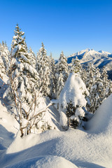 Winter landscape of Rusinowa polana, Tatra Mountains, Poland © pkazmierczak