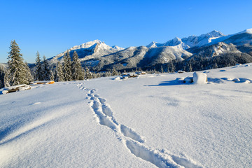 Winter landscape of Rusinowa polana, Tatra Mountains, Poland © pkazmierczak
