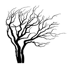 vector tree with branches in the wind - 73992375