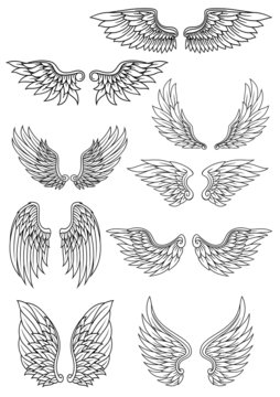 Set of outline heraldic wings