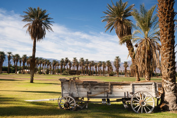 Old Buckboard Covered Wagon Palm Tree Oasis Death Valley