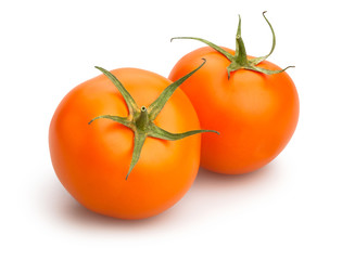 orange tomatoes