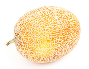 Melon isolated on white