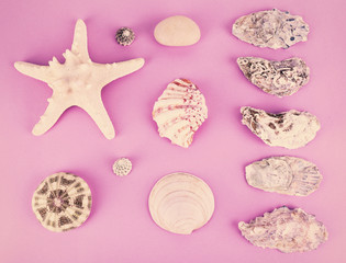 Sea souvenirs on pink background