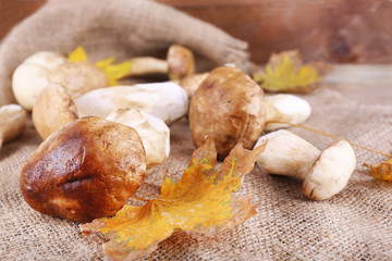 Wild mushrooms and autumn leaves on sacking background
